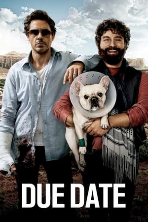 Due Date (2010) Hindi Dual Audio 300MB