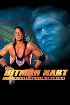 Hitman (1998) Hindi Dual Audio [1.1GB]