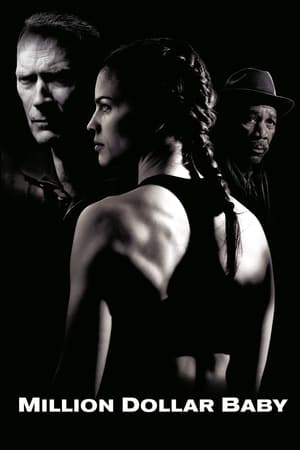 Million Dollar Baby (2004) Hindi Dual Audio 400MB