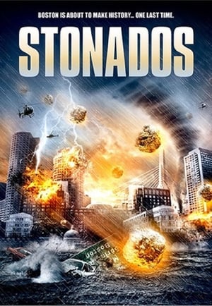 Stonados (2013) Hindi Dual Audio [840MB]