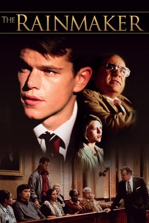 The Rainmaker (1997) Hindi Dual Audio 430MB