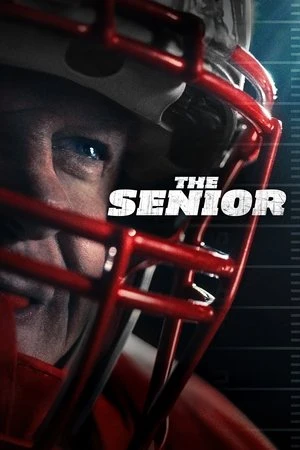 The Senior 2025 Hindi - English Audio