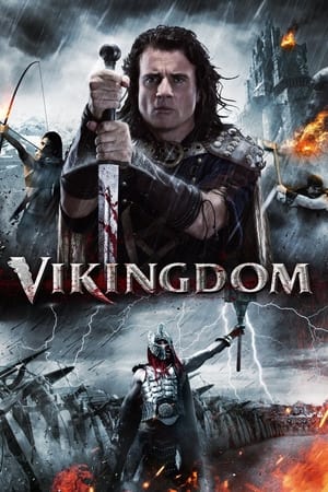 Vikingdom 2013 Hindi Dual Audio 380MB
